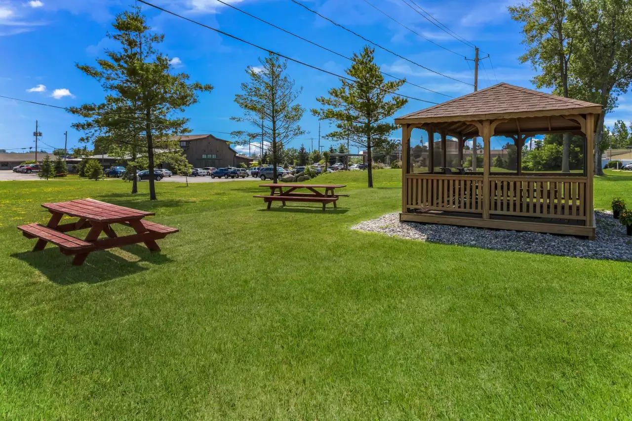 Patio Area